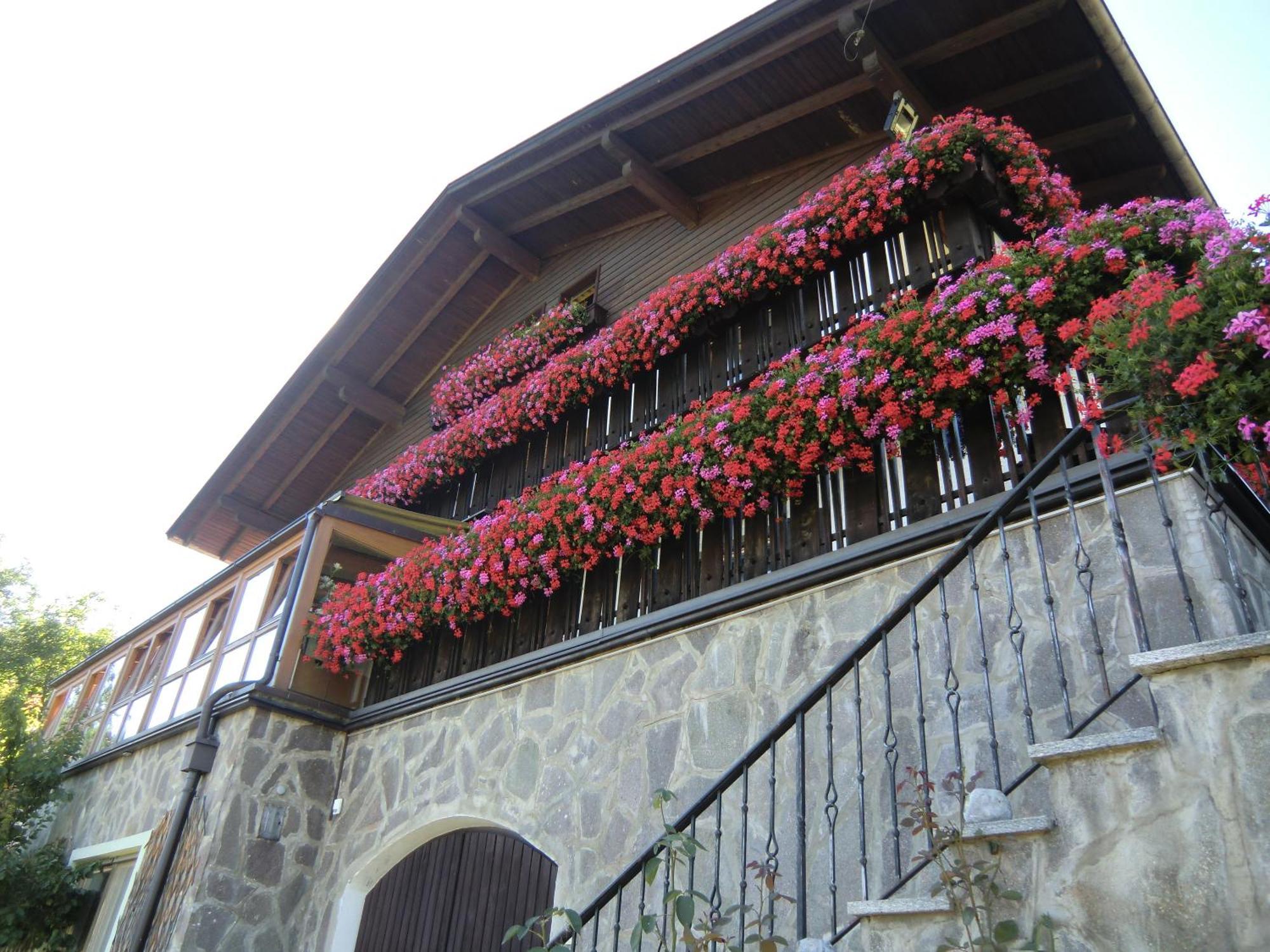 Alpenblick Bed & Breakfast 비피테노 외부 사진