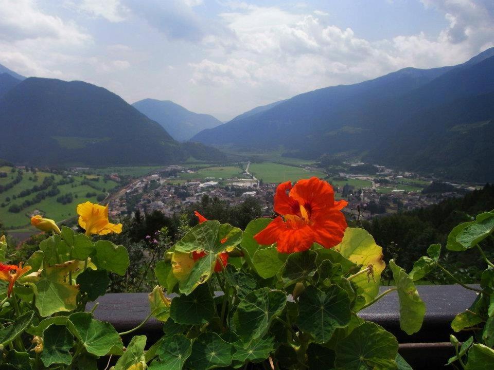 Alpenblick Bed & Breakfast 비피테노 외부 사진
